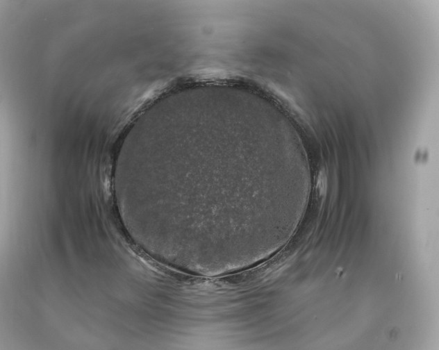 X0000091491348200709061852