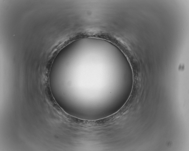 X0000091491349200709061852