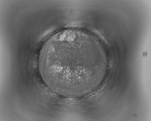 X0000091491350200709061852