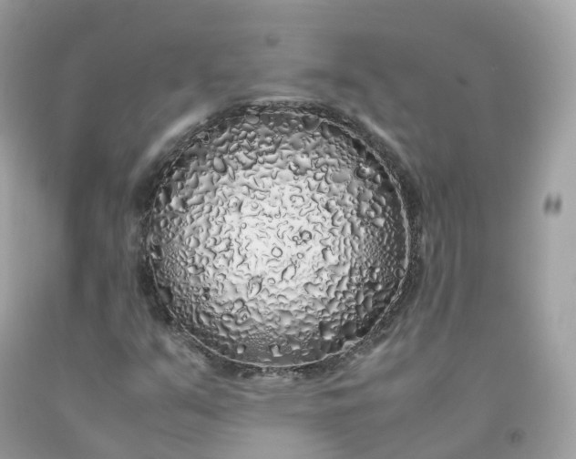 X0000091491351200709061852