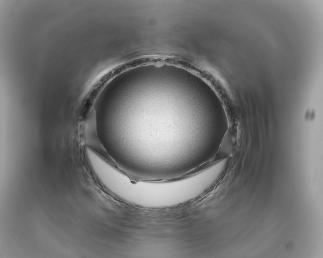 X0000091491352200709061852