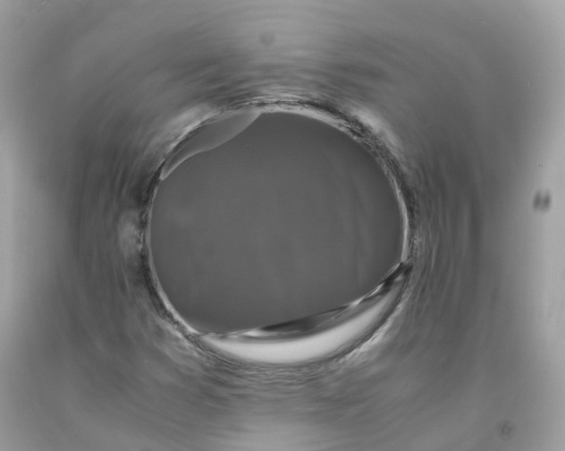 X0000091491353200709061852