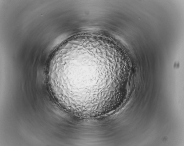 X0000091491354200709061852