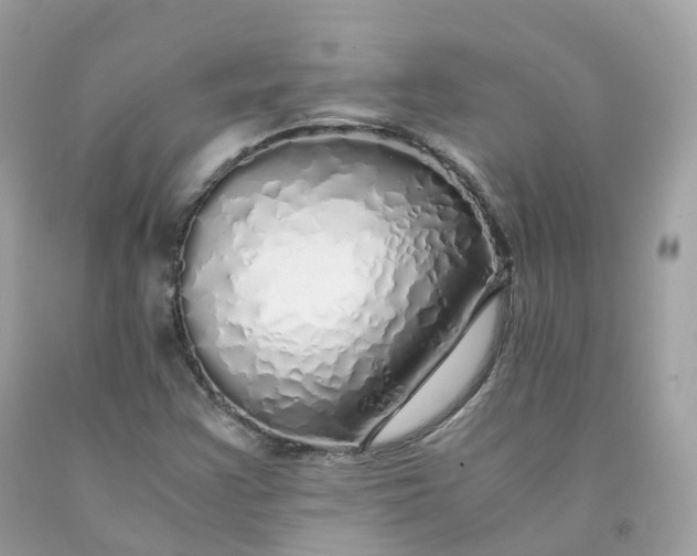 X0000091491355200709061852