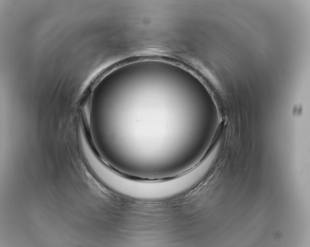 X0000091491356200709061852