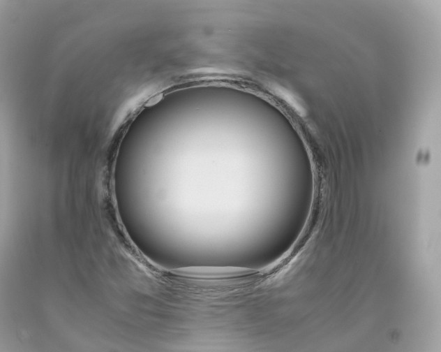 X0000091491357200709061852