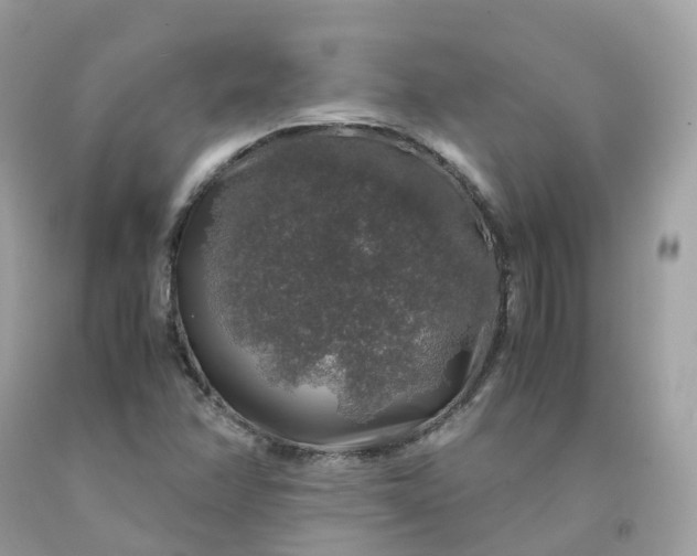 X0000091491358200709061852