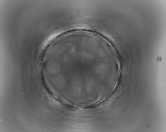 X0000091491359200709061852