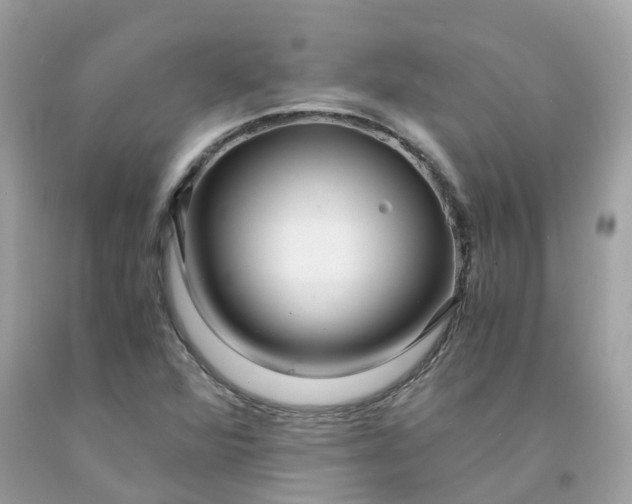 X0000091491360200709061852