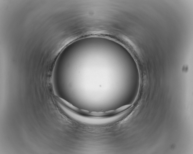 X0000091491361200709061852