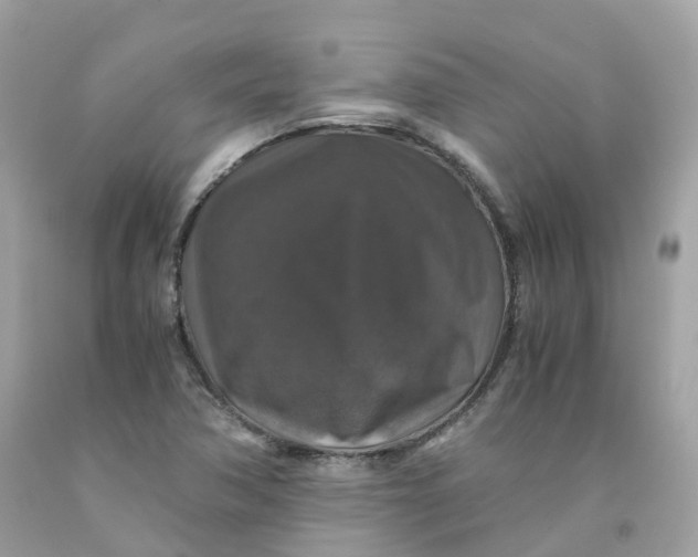 X0000091491362200709061852