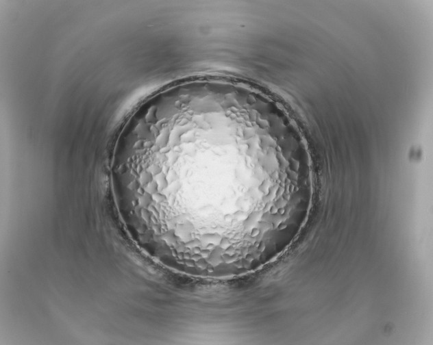 X0000091491363200709061852