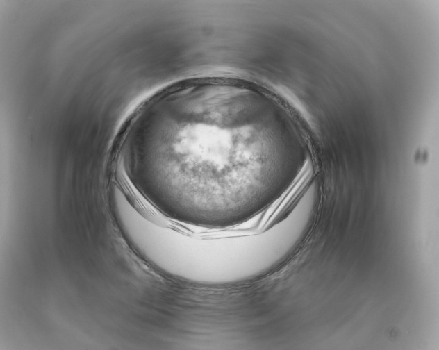 X0000091491364200709061852