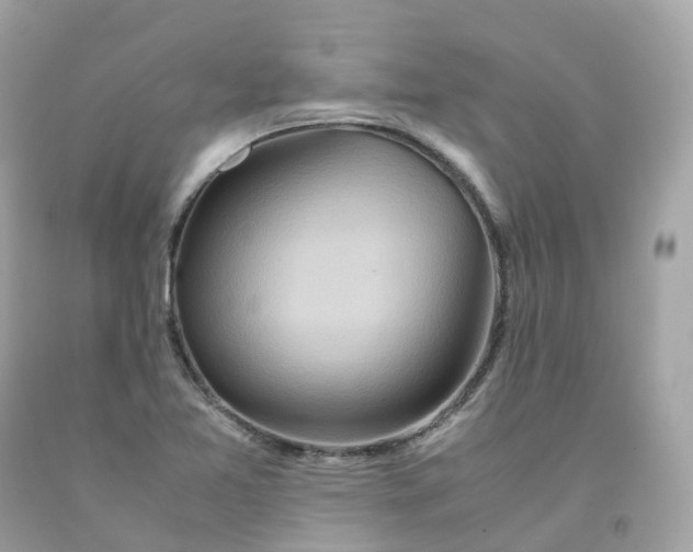 X0000091491365200709061852