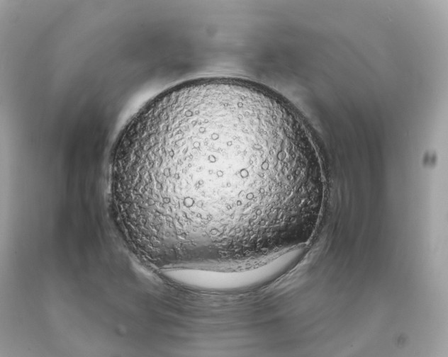 X0000091491366200709061852