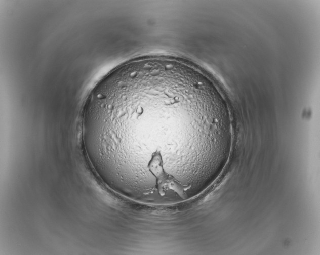 X0000091491367200709061852