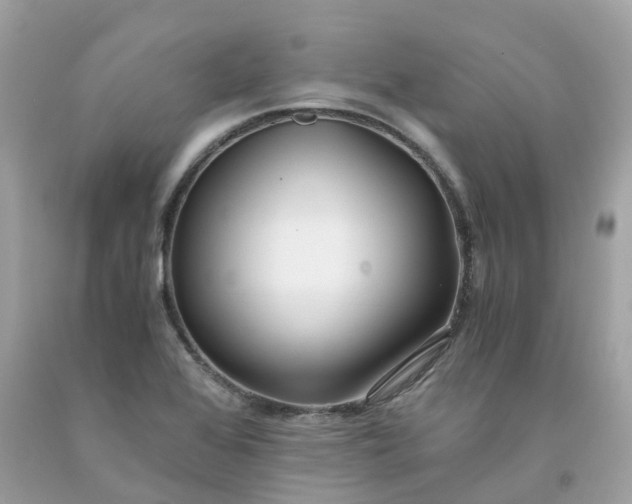 X0000091491368200709061852