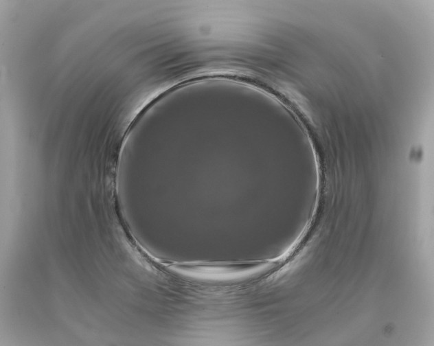 X0000091491369200709061852