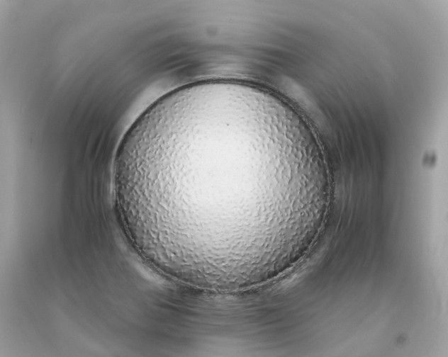 X0000091491370200709061852