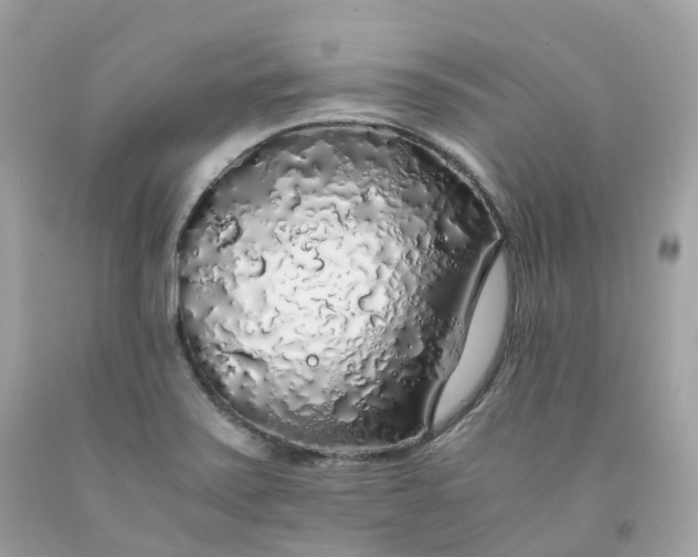 X0000091491371200709061852