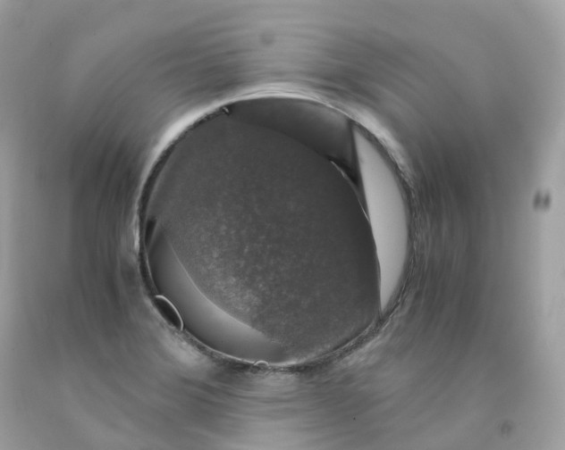 X0000091491372200709061851