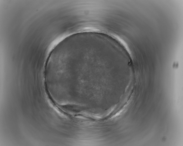 X0000091491373200709061851