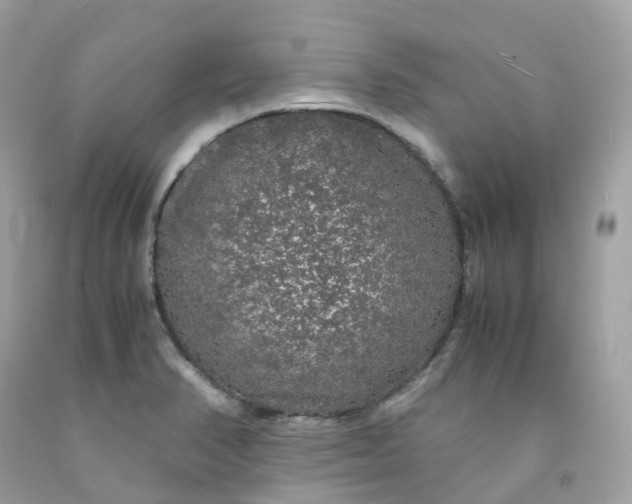 X0000091491374200709061851