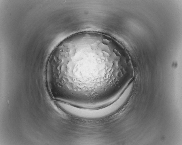 X0000091491375200709061851