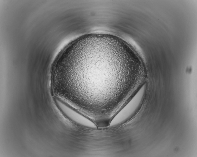 X0000091491376200709061851