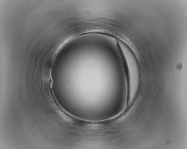 X0000091491377200709061851