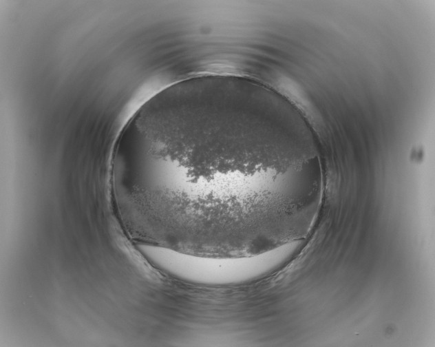 X0000091491378200709061851