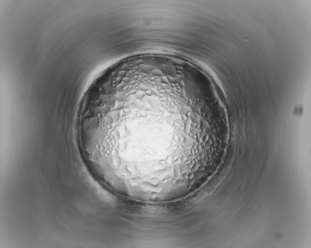 X0000091491379200709061851