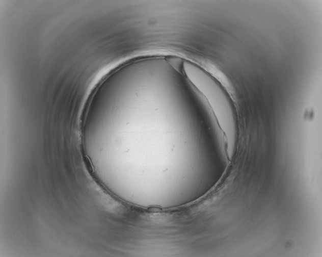 X0000091491380200709061851