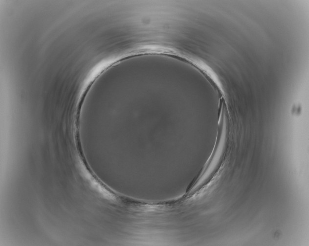 X0000091491381200709061851