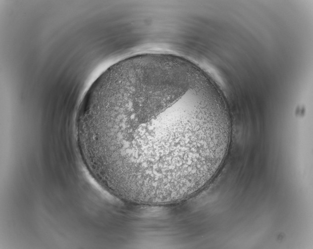 X0000091491382200709061851