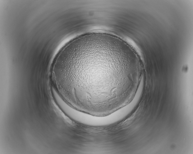 X0000091491384200709061851