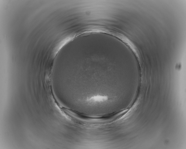 X0000091491385200709061851