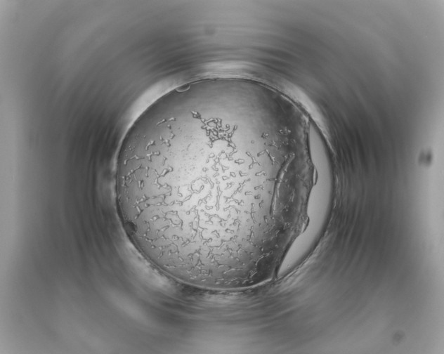 X0000091491386200709061851