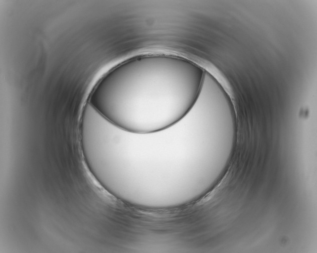 X0000091491388200709061851