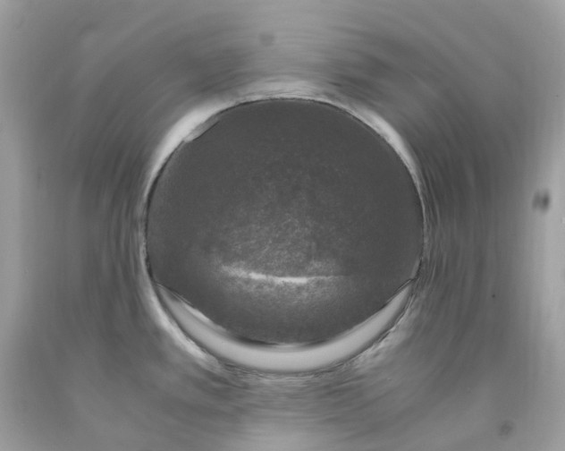 X0000091491389200709061851