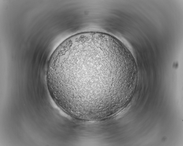 X0000091491390200709061851