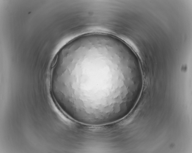 X0000091491391200709061851