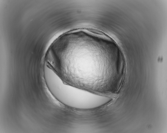 X0000091491392200709061851