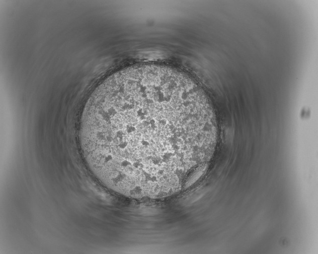 X0000091491393200709061851