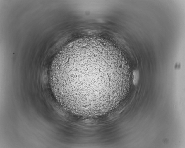 X0000091491395200709061851