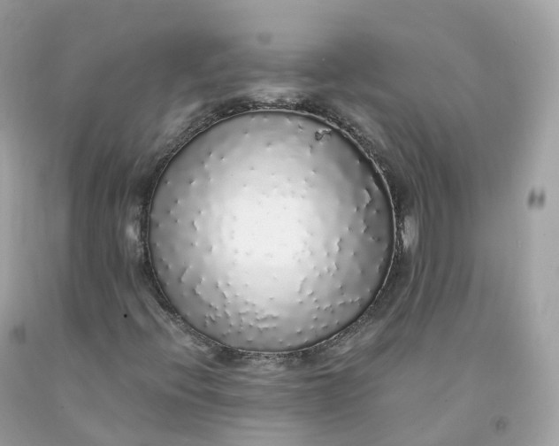 X0000091491396200709061851