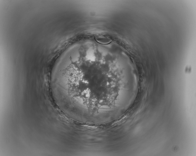 X0000091491397200709061851