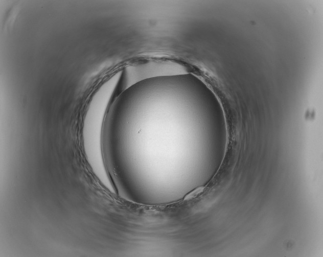 X0000091491398200709061851