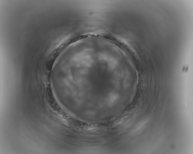 X0000091491399200709061851