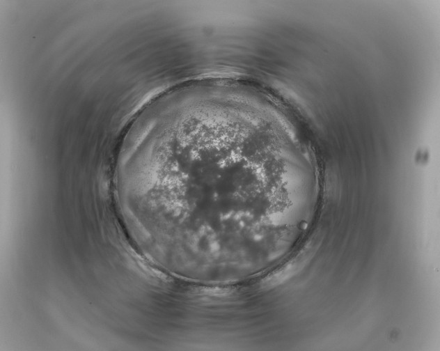 X0000091491401200709061851